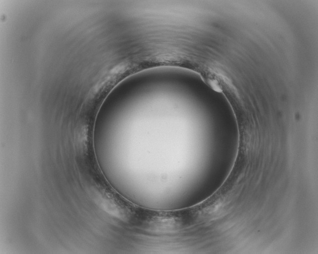 X0000088580260200706011120