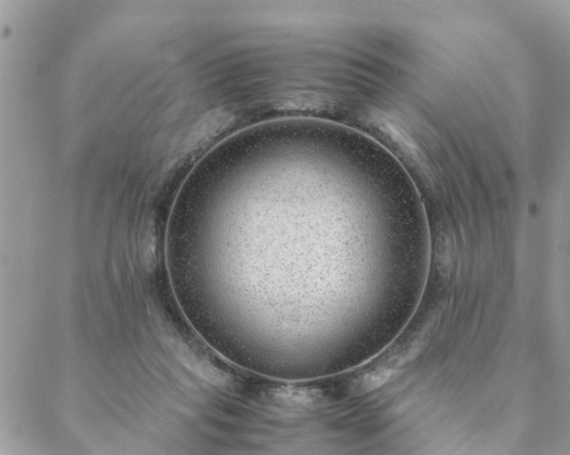 X0000088580261200706011120