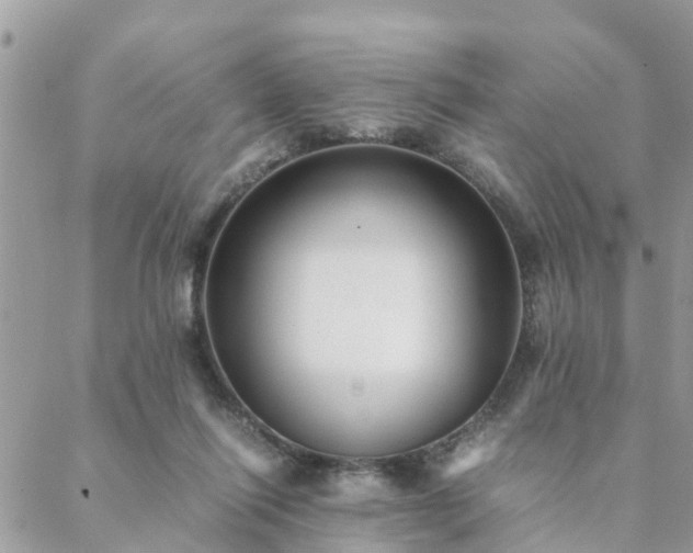 X0000088580262200706011120