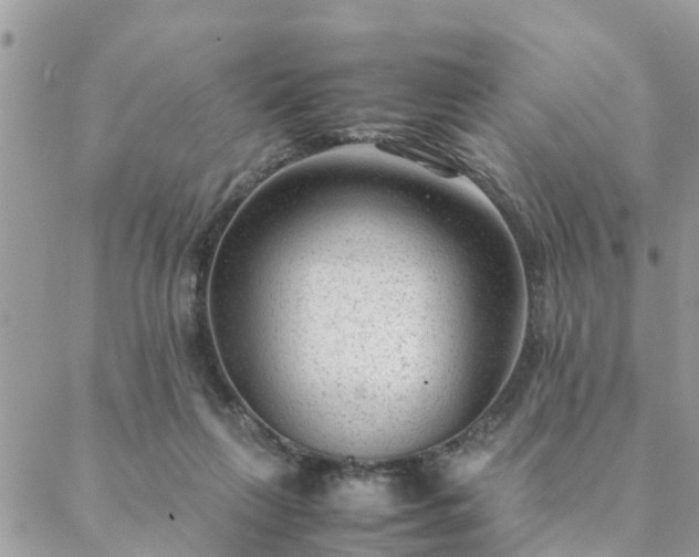 X0000088580263200706011120