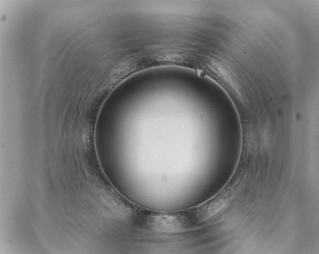 X0000088580265200706011120