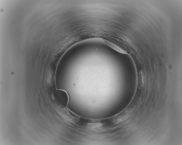 X0000088580266200706011120