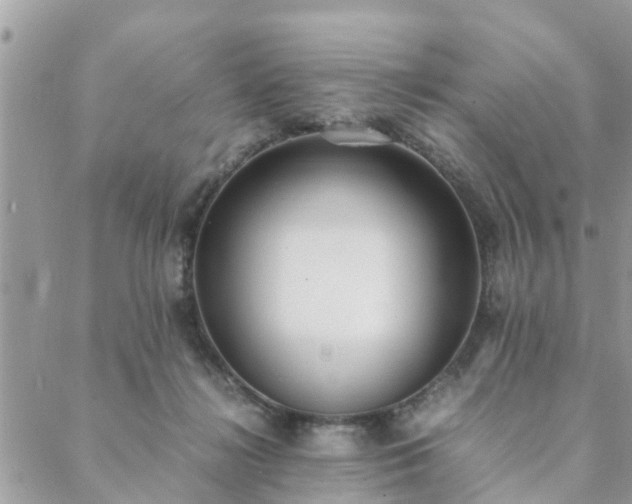 X0000088580268200706011120