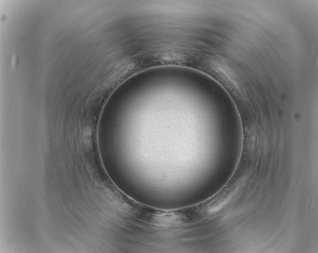 X0000088580269200706011120