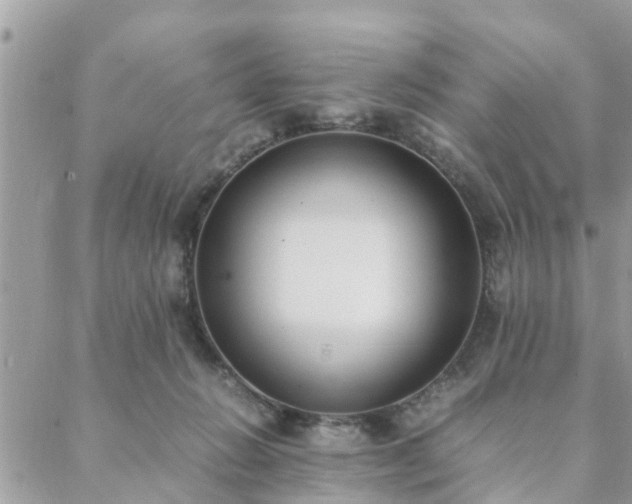 X0000088580270200706011120