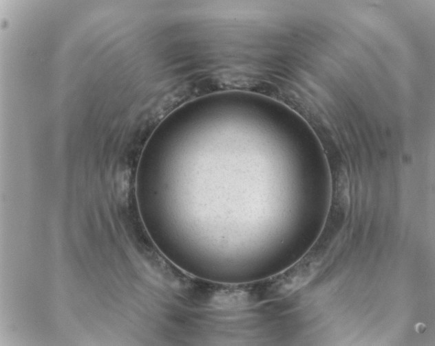 X0000088580271200706011120