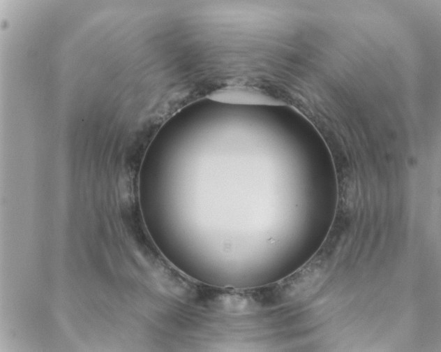 X0000088580272200706011120