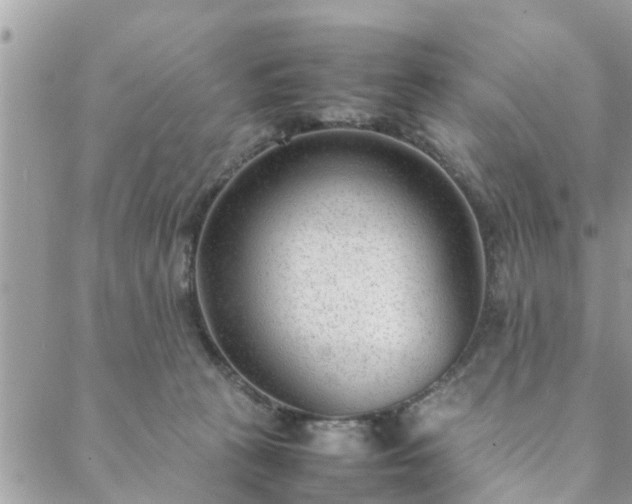 X0000088580273200706011120