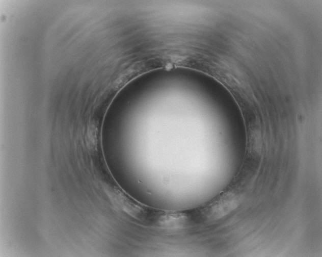 X0000088580274200706011120