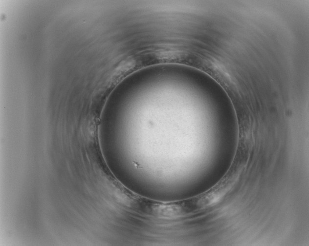 X0000088580277200706011120