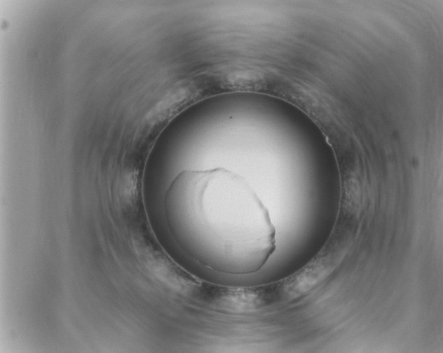 X0000088580278200706011120