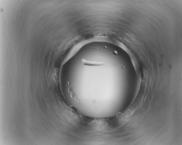 X0000088580280200706011120