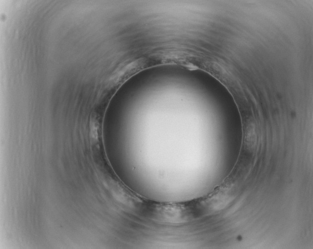 X0000088580282200706011120