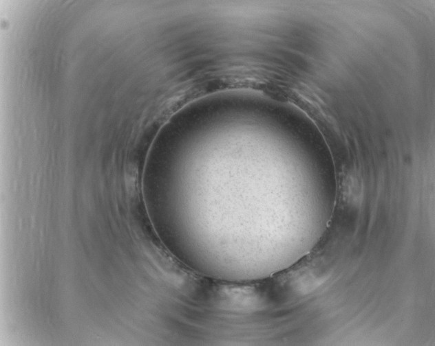 X0000088580283200706011120