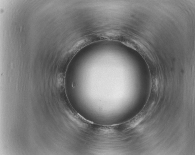 X0000088580284200706011120