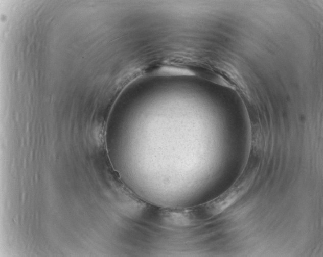 X0000088580285200706011120