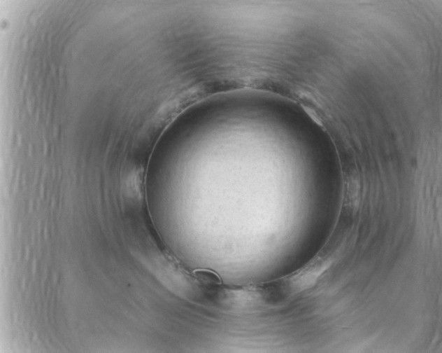 X0000088580286200706011120