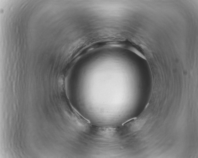 X0000088580288200706011120