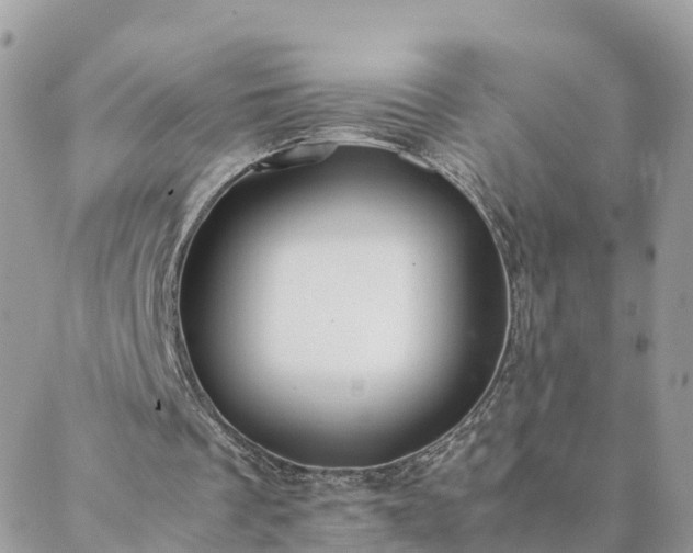 X0000088580289200706011120