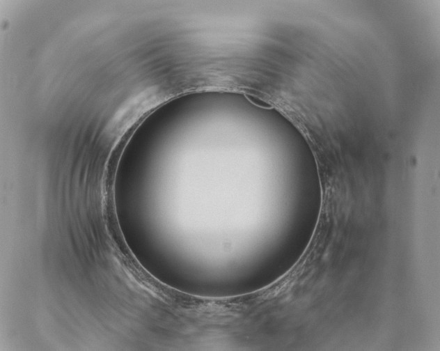 X0000088580290200706011119