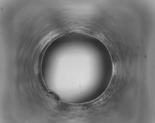 X0000088580291200706011119