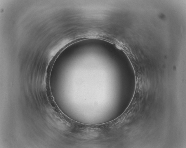 X0000088580292200706011119