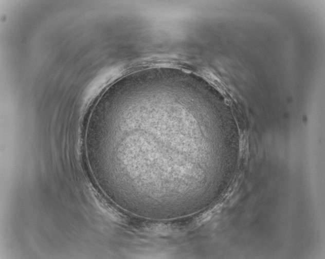 X0000088580293200706011119