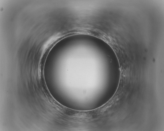 X0000088580294200706011119