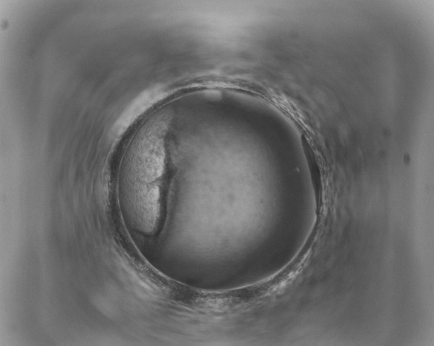 X0000088580295200706011119