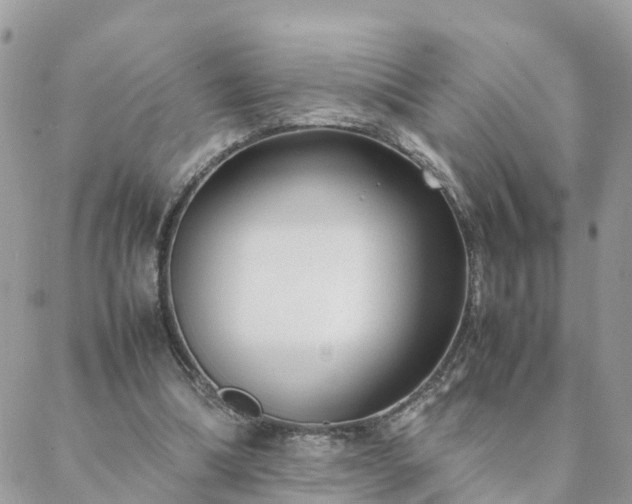 X0000088580298200706011119