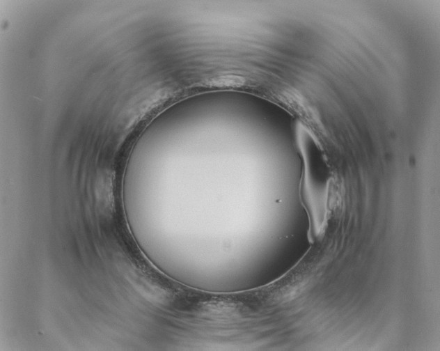 X0000088580300200706011119