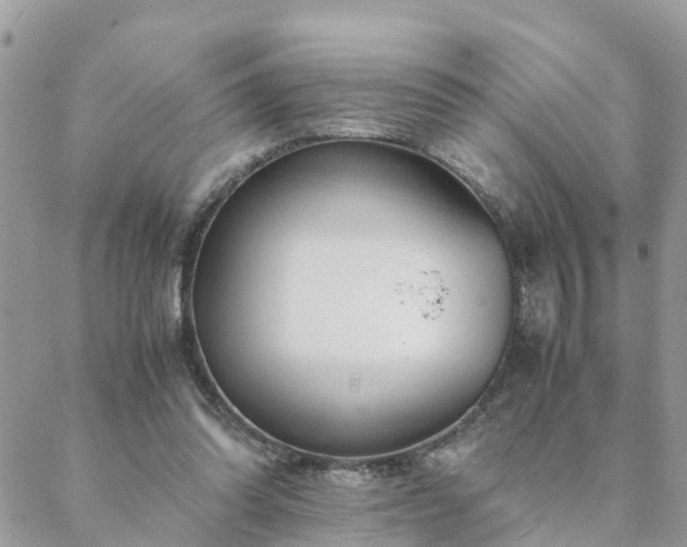 X0000088580302200706011119