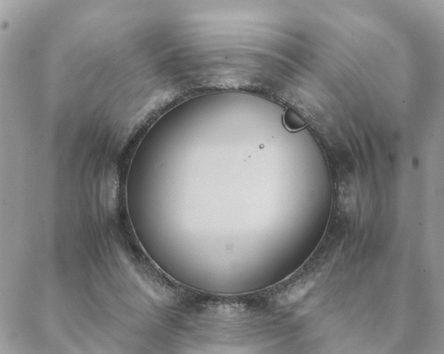 X0000088580304200706011119