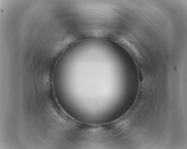 X0000088580306200706011119