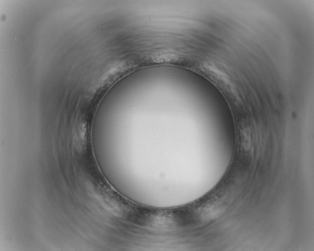 X0000088580308200706011119