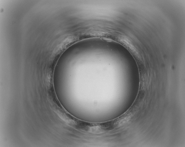 X0000088580309200706011119