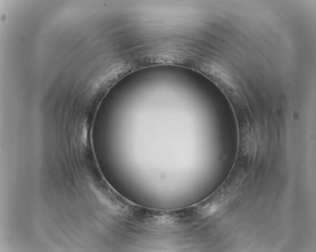 X0000088580310200706011119