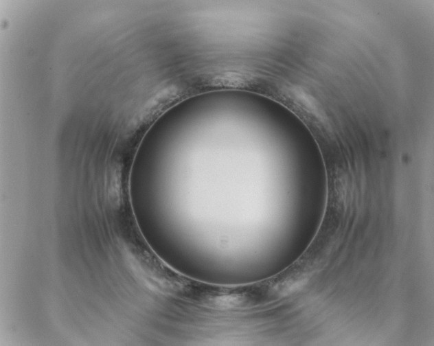 X0000088580312200706011119