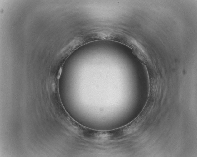 X0000088580313200706011119