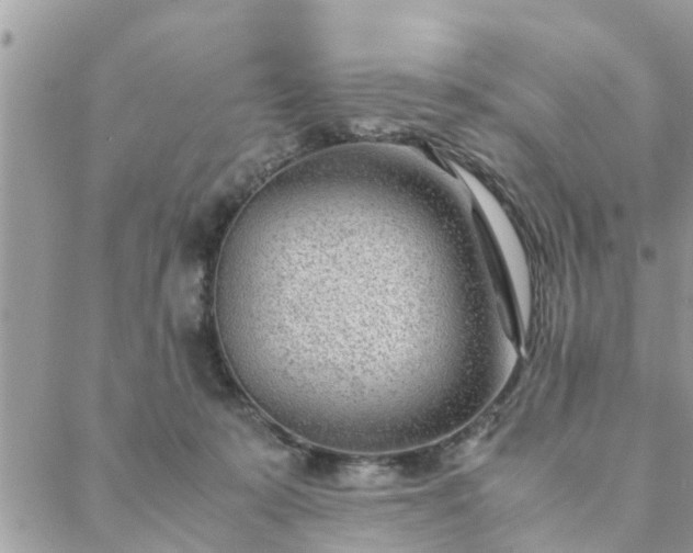 X0000088580319200706011119