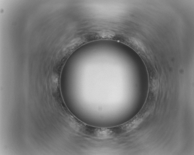 X0000088580321200706011119