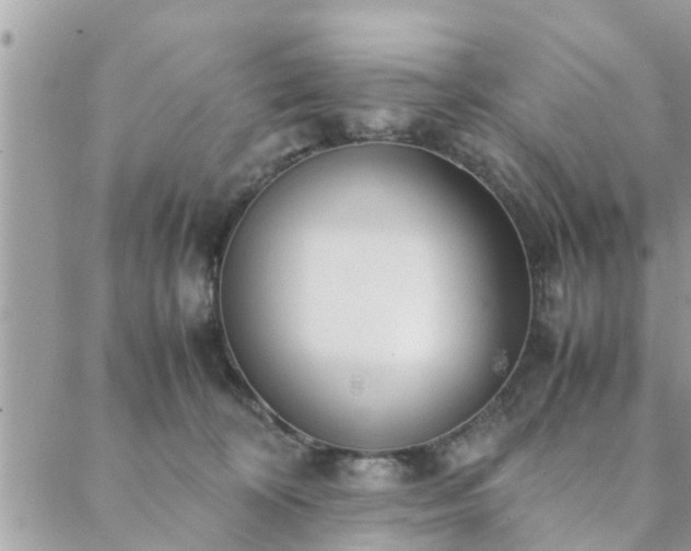 X0000088580324200706011119