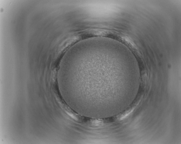 X0000088580325200706011119