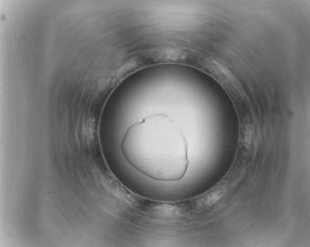 X0000088580326200706011119