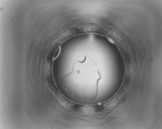 X0000088580327200706011119