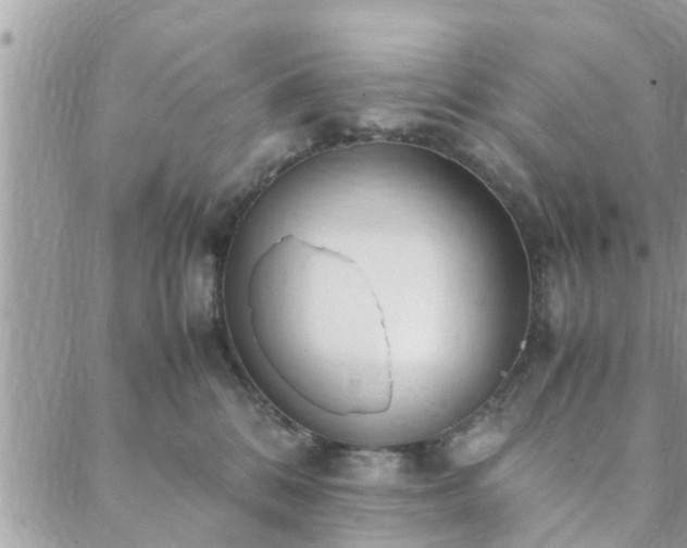 X0000088580328200706011119