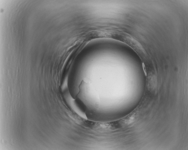 X0000088580329200706011119