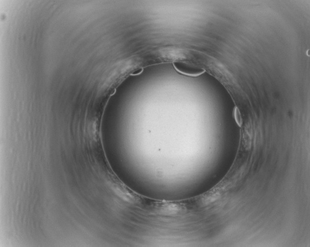 X0000088580330200706011119