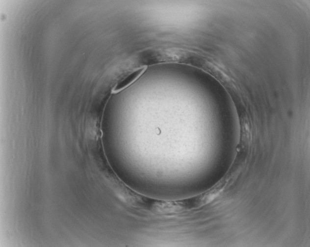 X0000088580331200706011119