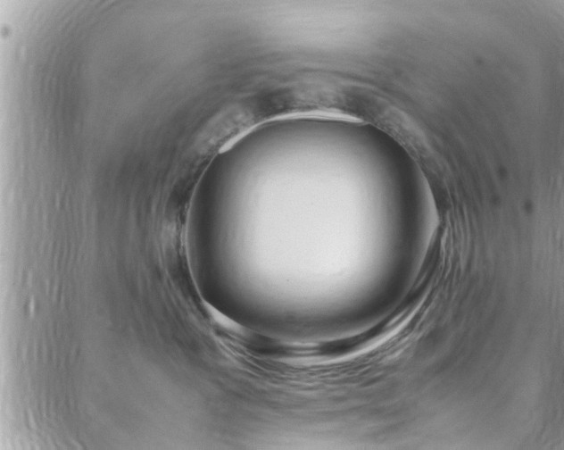 X0000088580333200706011119